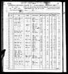 1865 New York Tax Assessment record for Newman Pine - click for larger view
