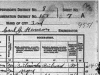 Right side of the 1920 census record for Charles Petznick - click for larger view