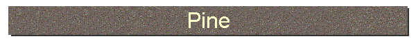 Pine